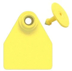 Allflex Ear Tags Numbered 51-75