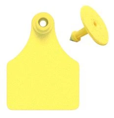 Allflex Ear Tags Numbered 76-100