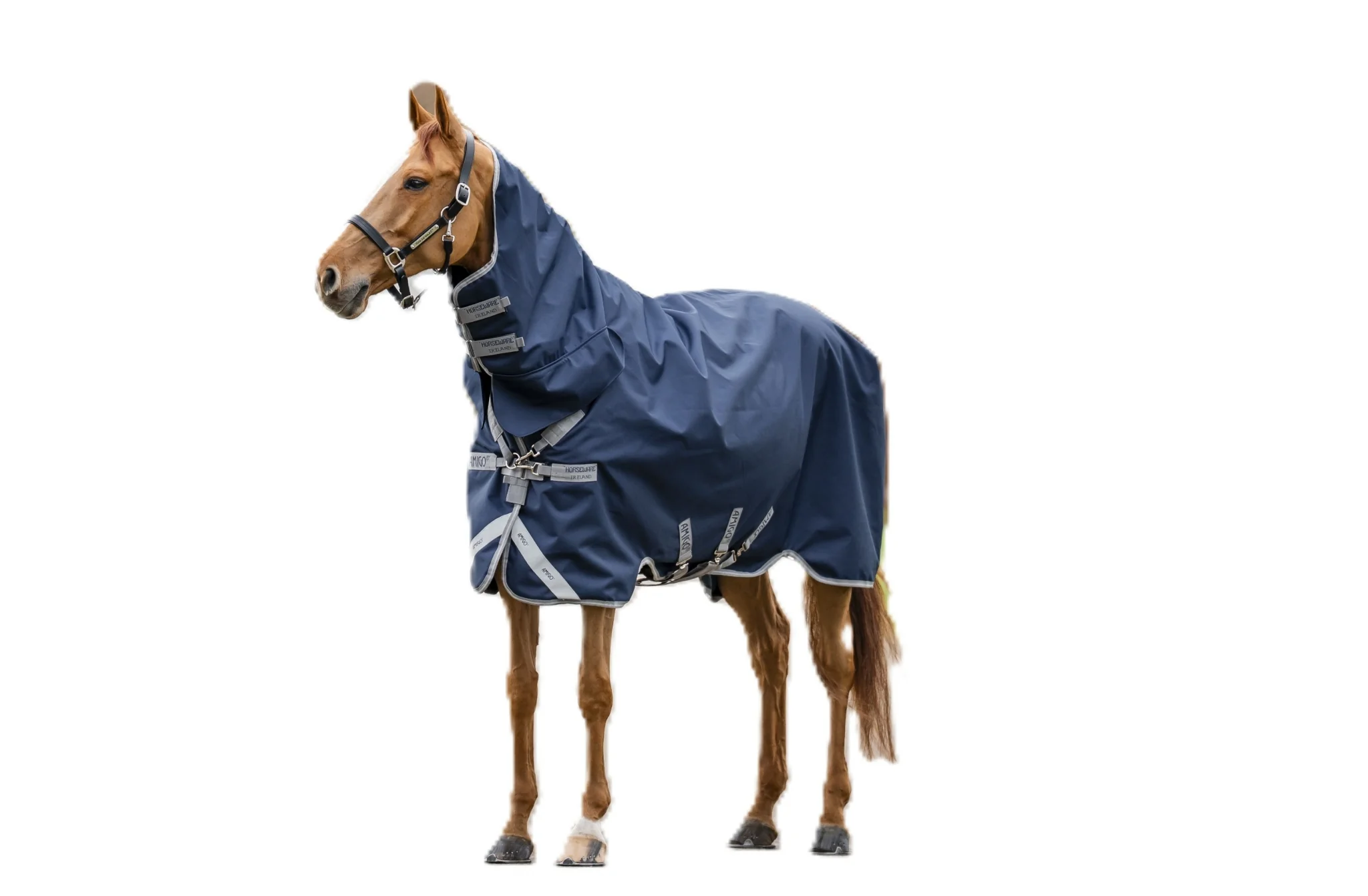 Amigo 1200D Integrated Turnout 150g