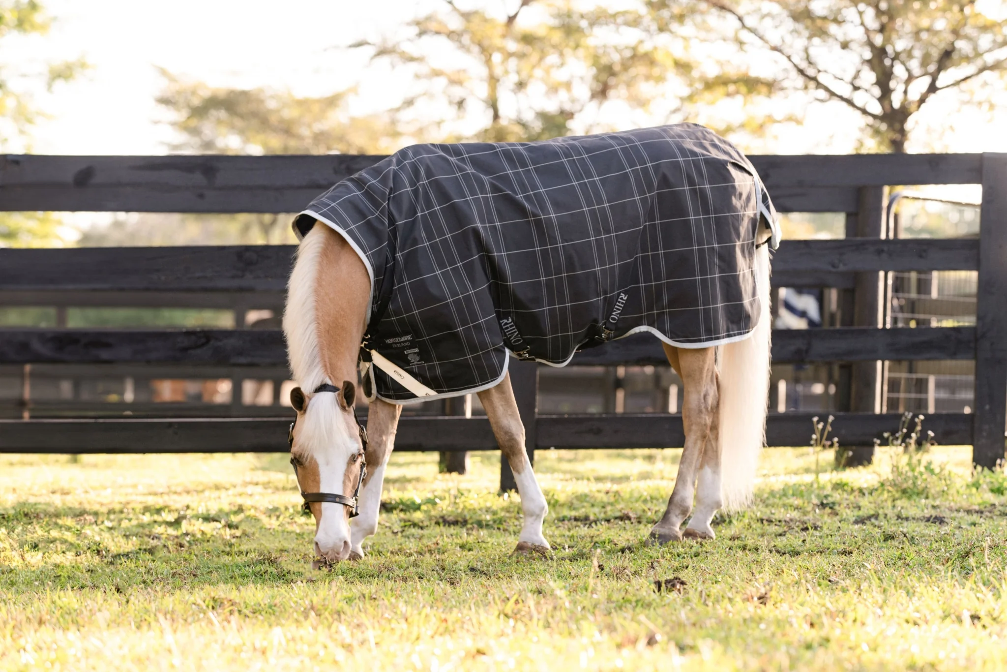 Amigo 1200D Pony Turnout 0g - Image 4