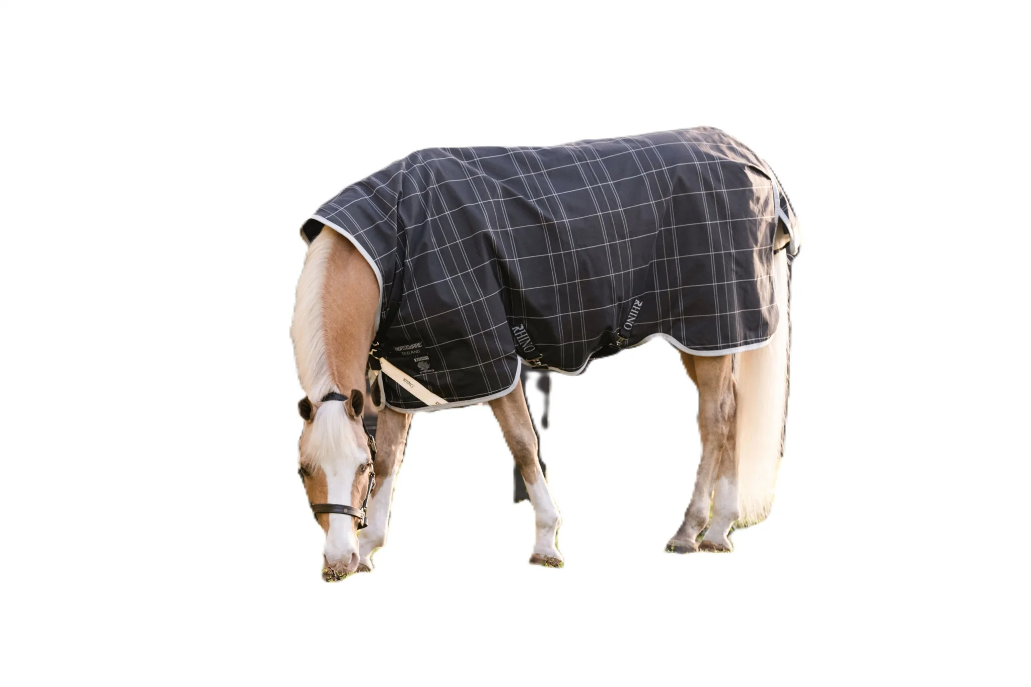 Amigo 1200D Pony Turnout 250g - Image 2