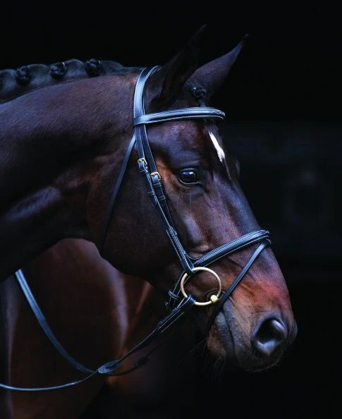Amigo Deluxe Bridle Pony Black