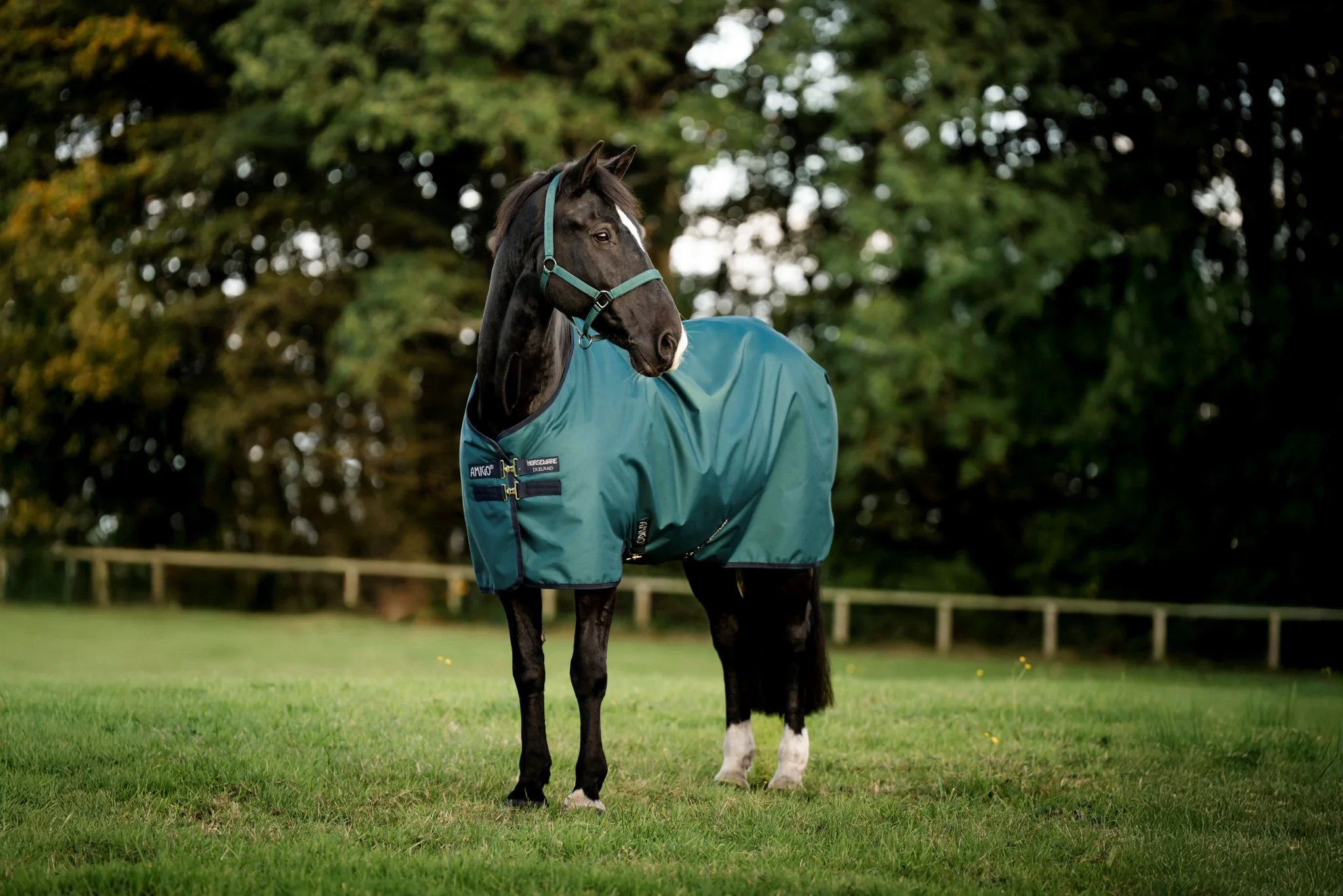 Amigo Ripstop 900D Pony Turnout 100g - Image 4