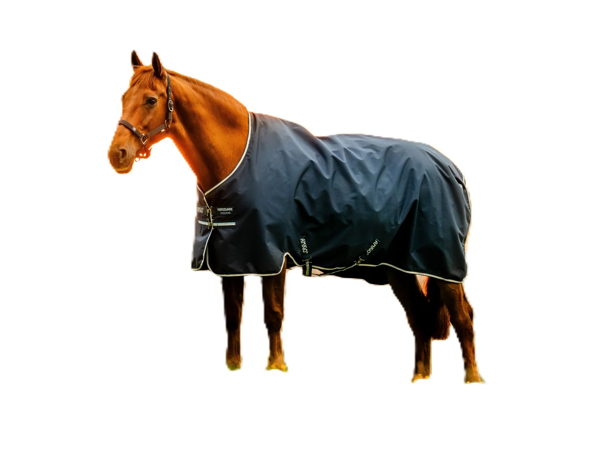 Amigo Ripstop 900D Pony Turnout 50g - Image 3
