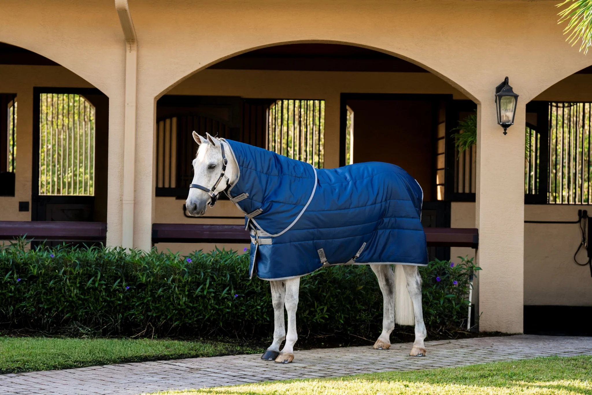 Amigo RS Insulator Plus Stable 350g - Image 3