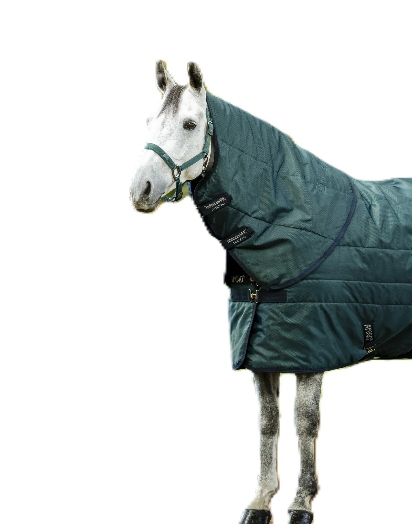 Amigo RS Insulator Stable Hood 200g - Image 2