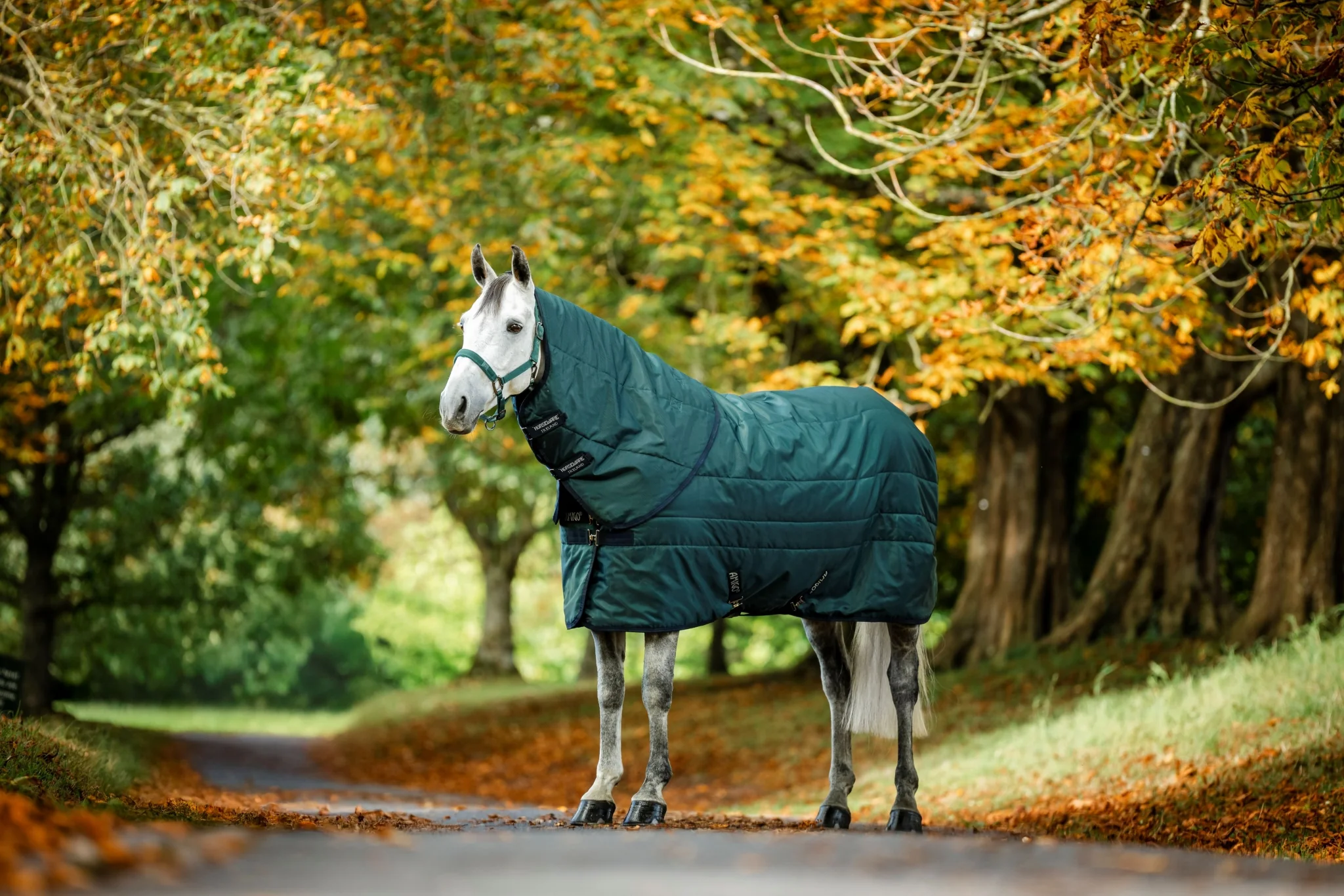Amigo RS Insulator Stable Hood 200g - Image 5