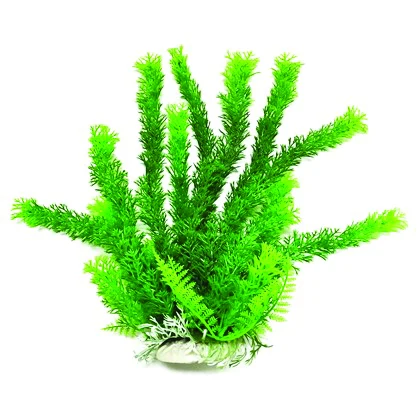 Aquatop Cabomba Like Aquarium Plant - Image 3