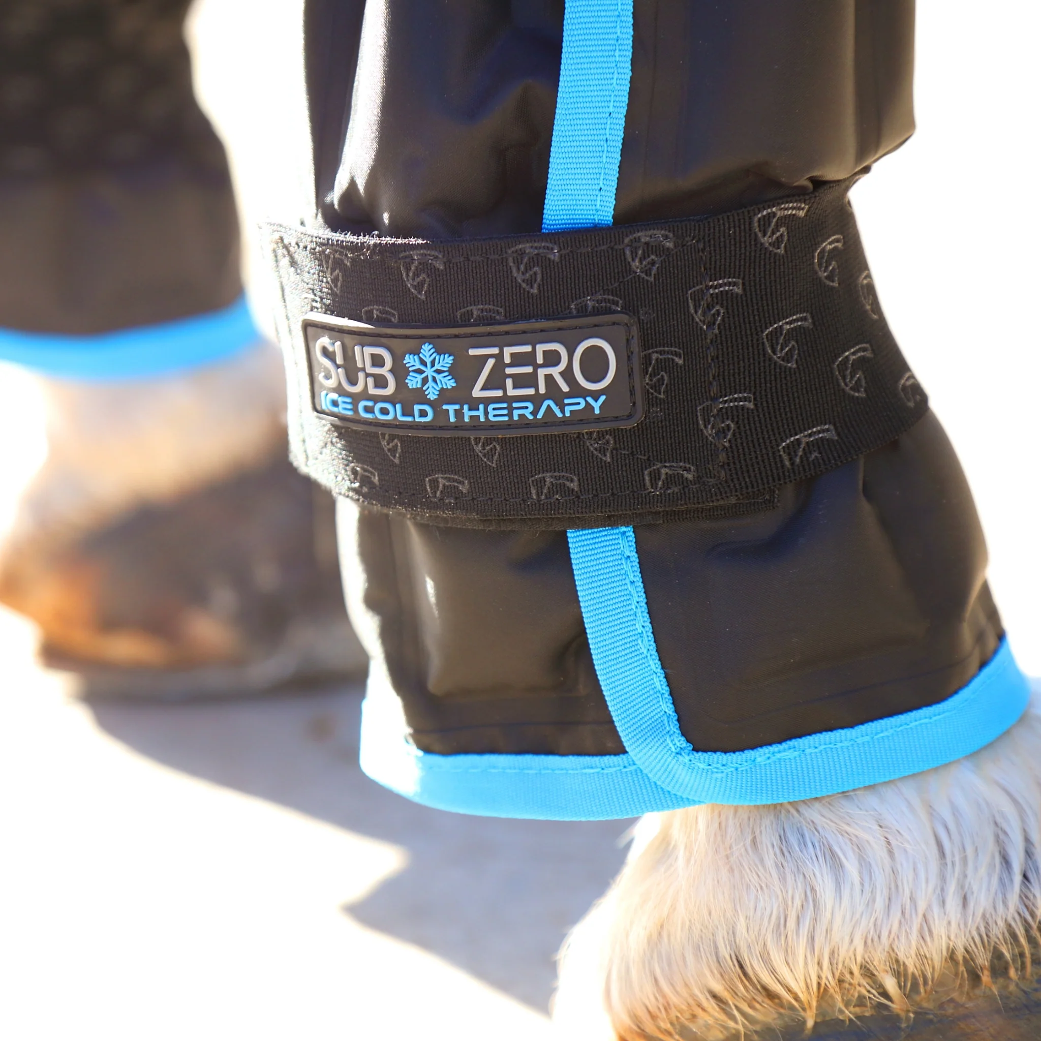 Shires ARMA SubZero Ice Boots - Image 2