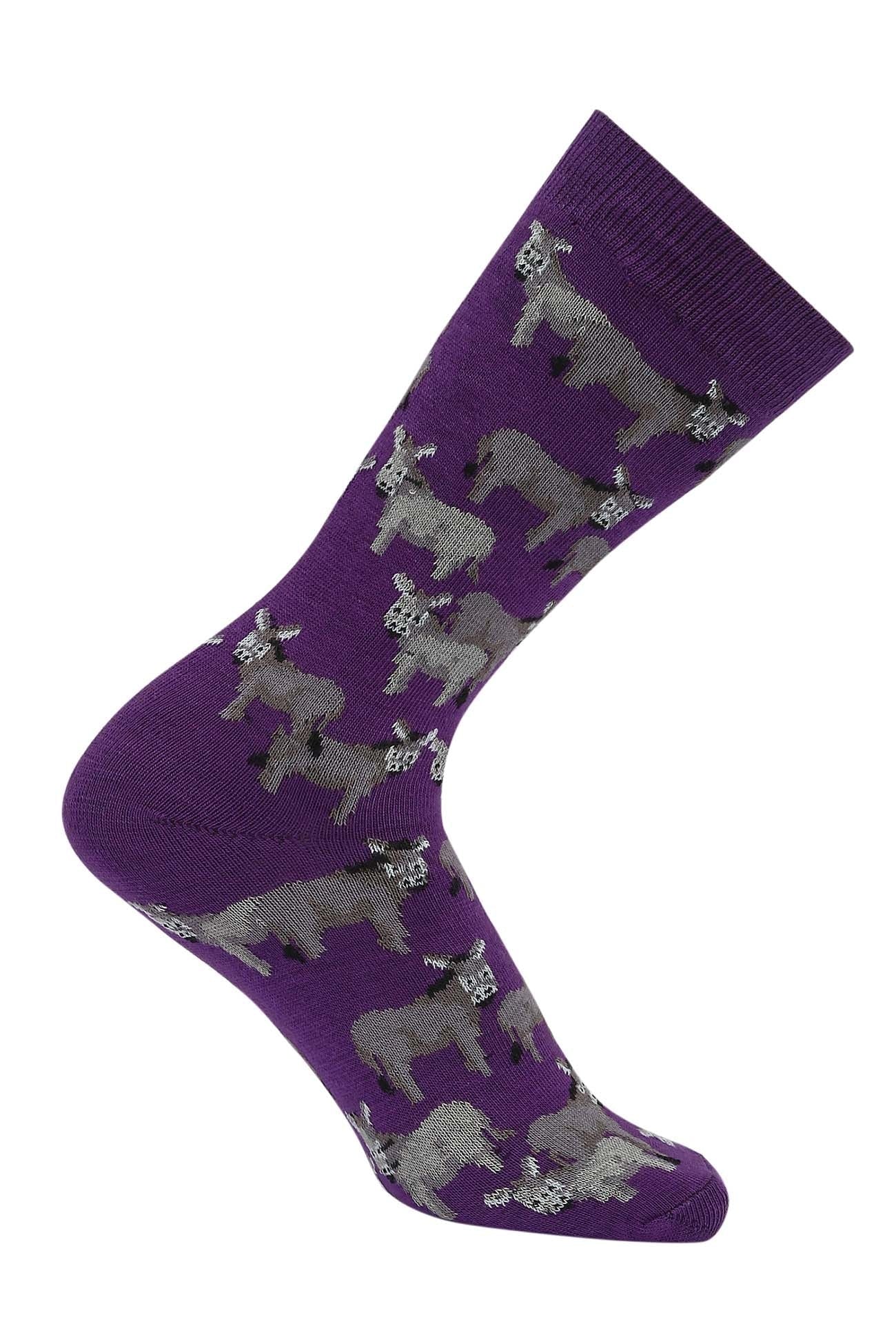 AWST Int'l Donkey Love Socks - Image 7