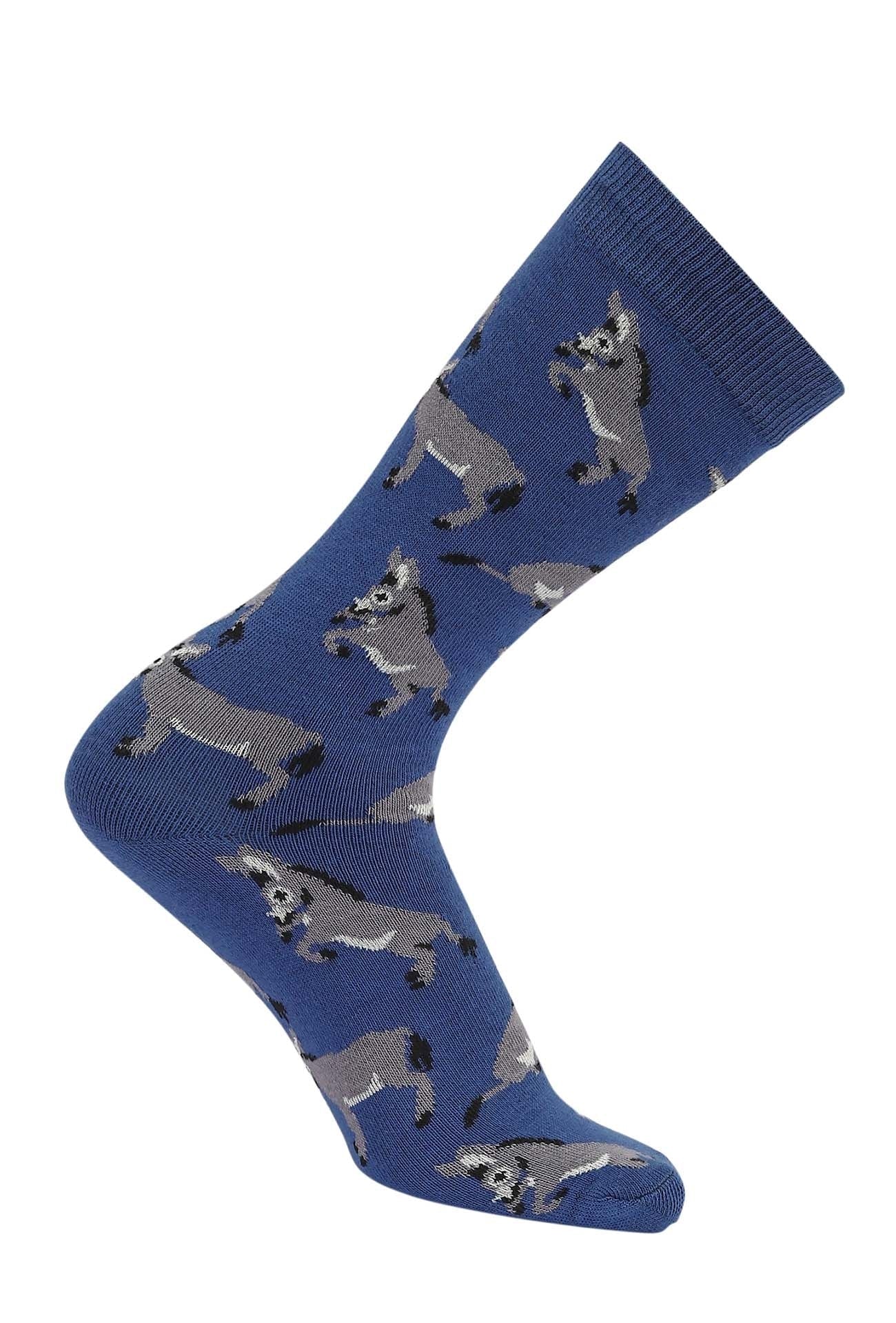 AWST Int'l Playful Donkeys Socks - Image 3