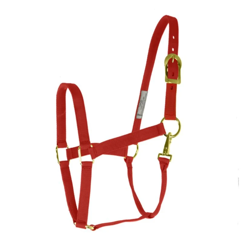 Basic 2-Ply Halter with Snap - Image 4