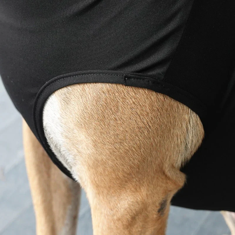 BeneFab Canine Comfort & Care Shirt - Image 3