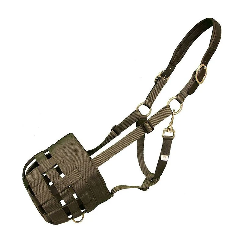 Best Friend Padded Leather Crown Grazing Muzzle - Image 2