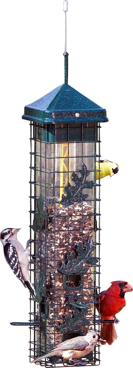 Brome Squirrel Solution 200 Wild Bird Feeder - Image 2