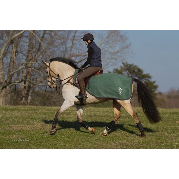 Cavalero Exercise Sheet