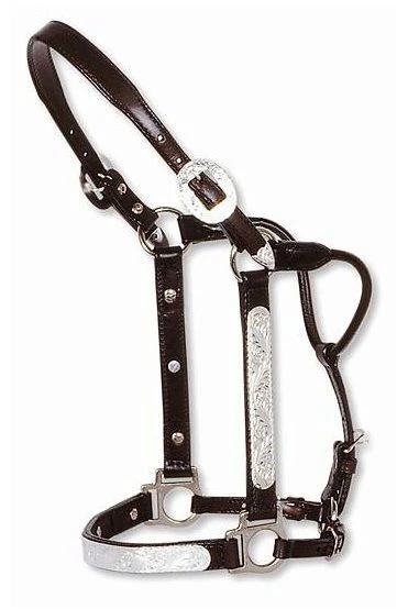 Circle Y Engraved Show Halter Yearling Dark Oil - Image 2