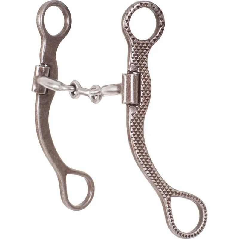 Classic Equine Rasp Straight Shank Bit with Smooth Ba