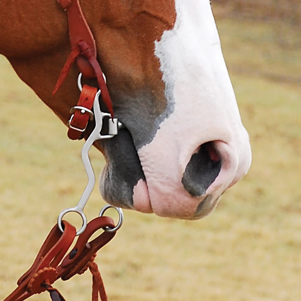 Classic Equine Rickey Green Shank Roping Bit with Chain - Image 2