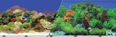 Blue Ribbon Reef Aquarium Background - Image 3