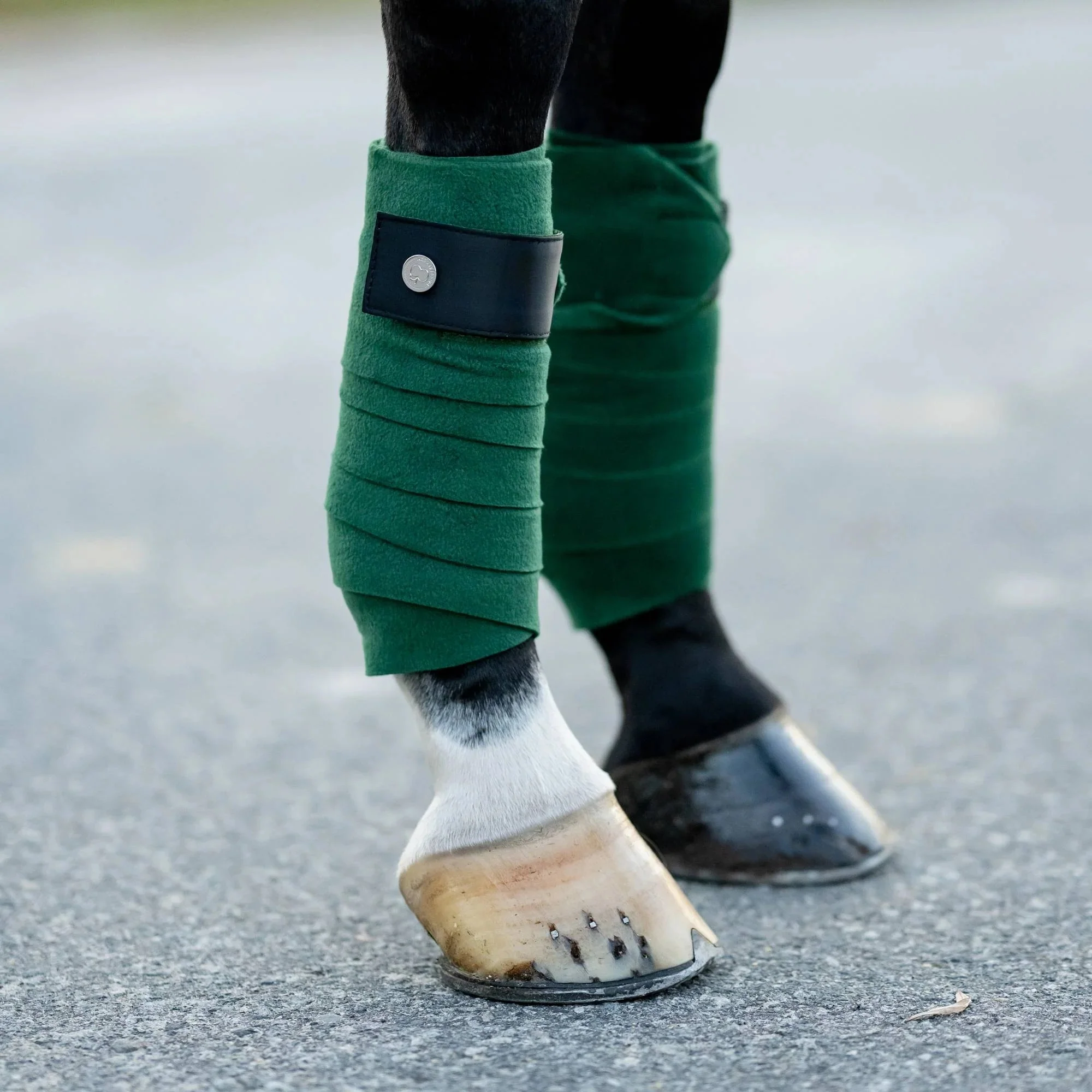 Dapplebay Sport Polo Wraps - Image 5