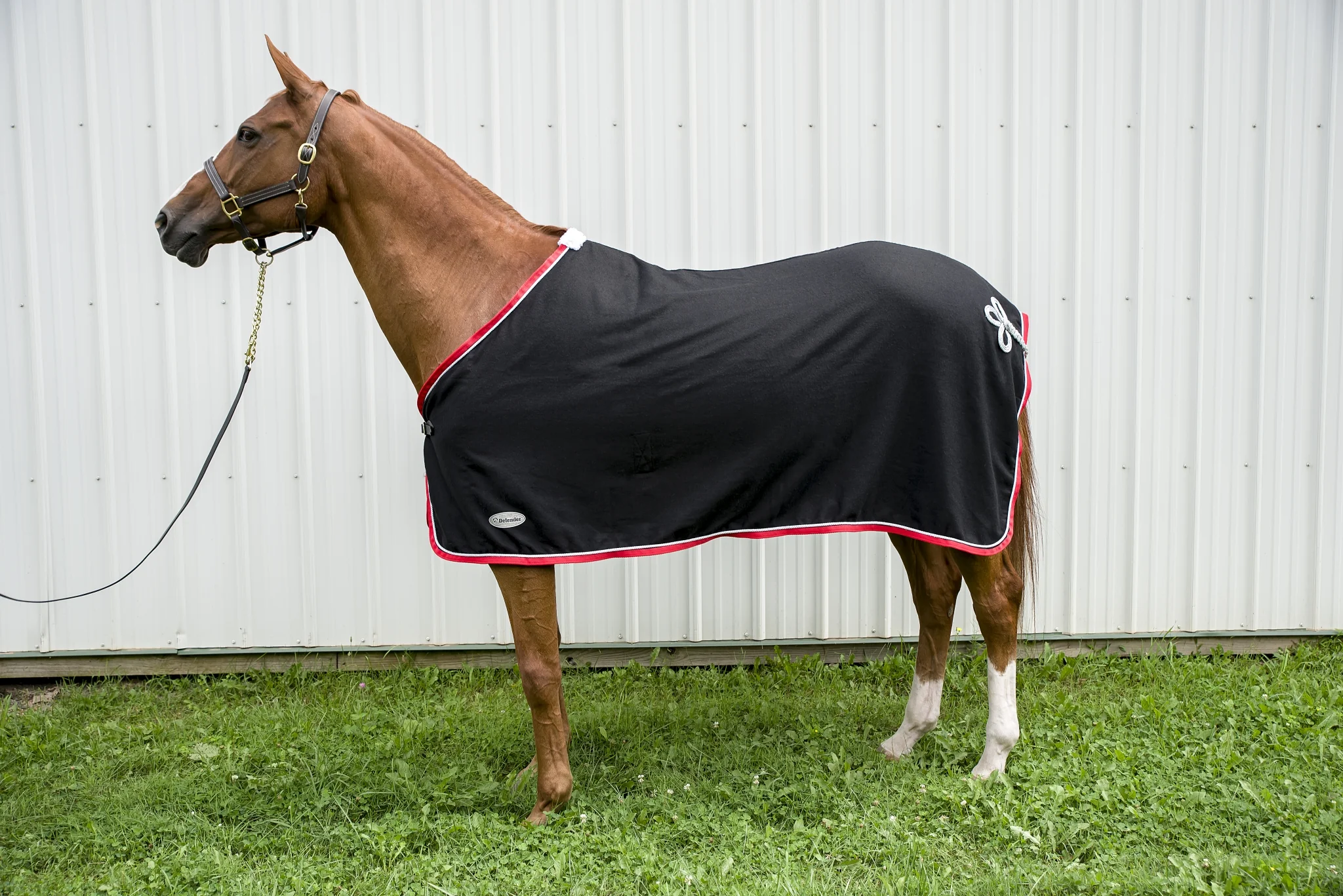 Defender Wool Dress Cooler