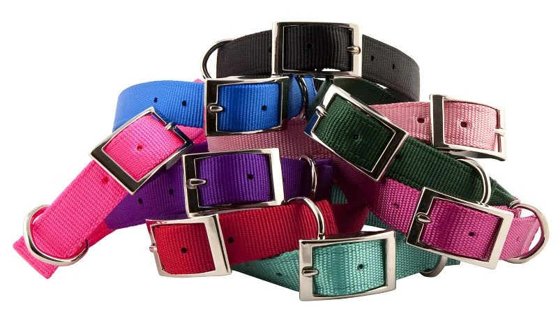 Double Layer Dog Collar - Image 5