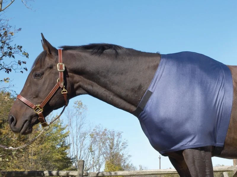 Equi-Essentials Stretch Shoulder Guard