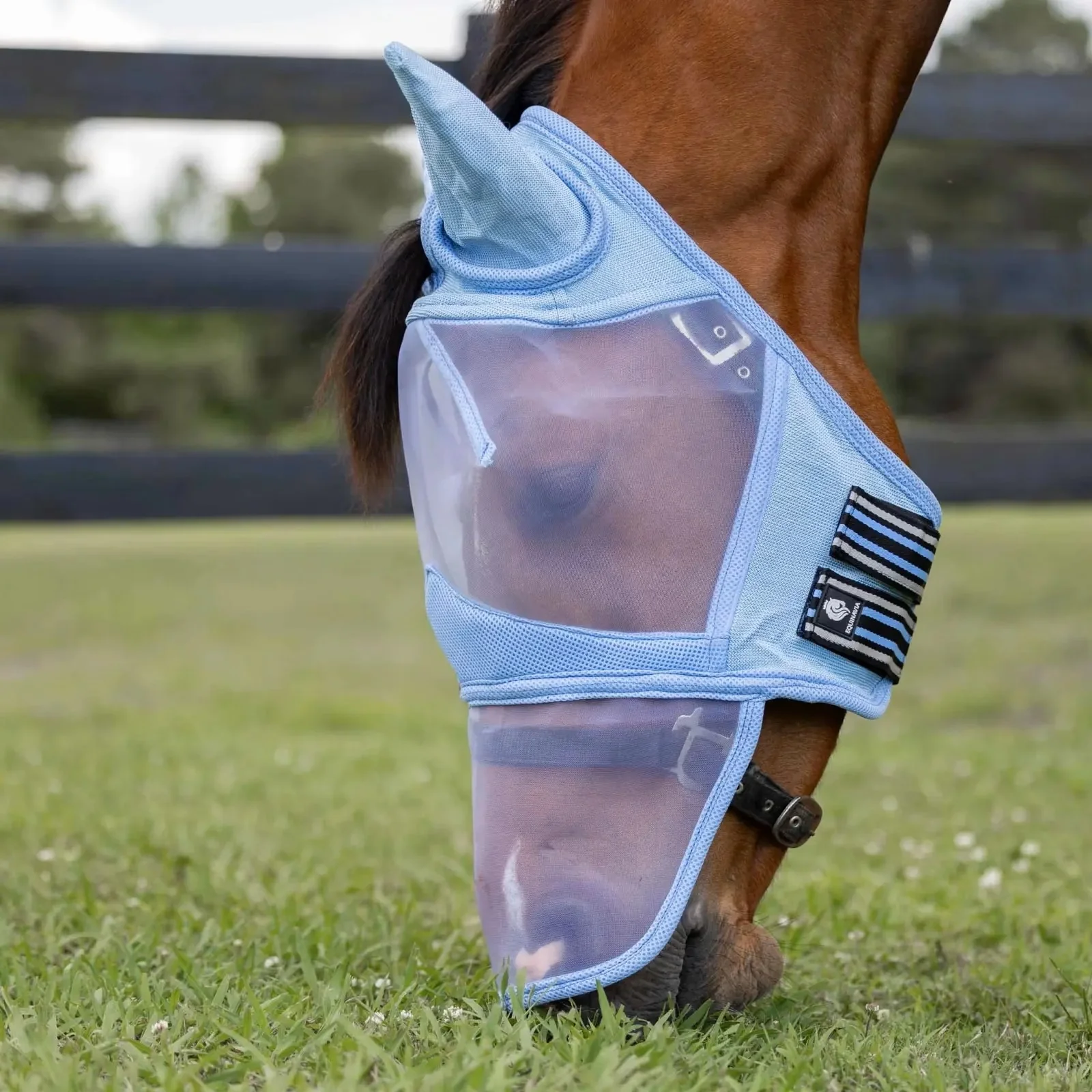 Equinavia Algard Soft Mesh Long Nose Fly Mask - Image 5