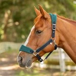 Equinavia Saga Fleece Padded Breakaway Halter - Image 3