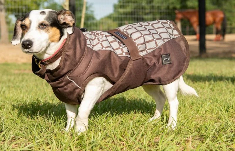 FITS All Weather Dog Coat - Image 2
