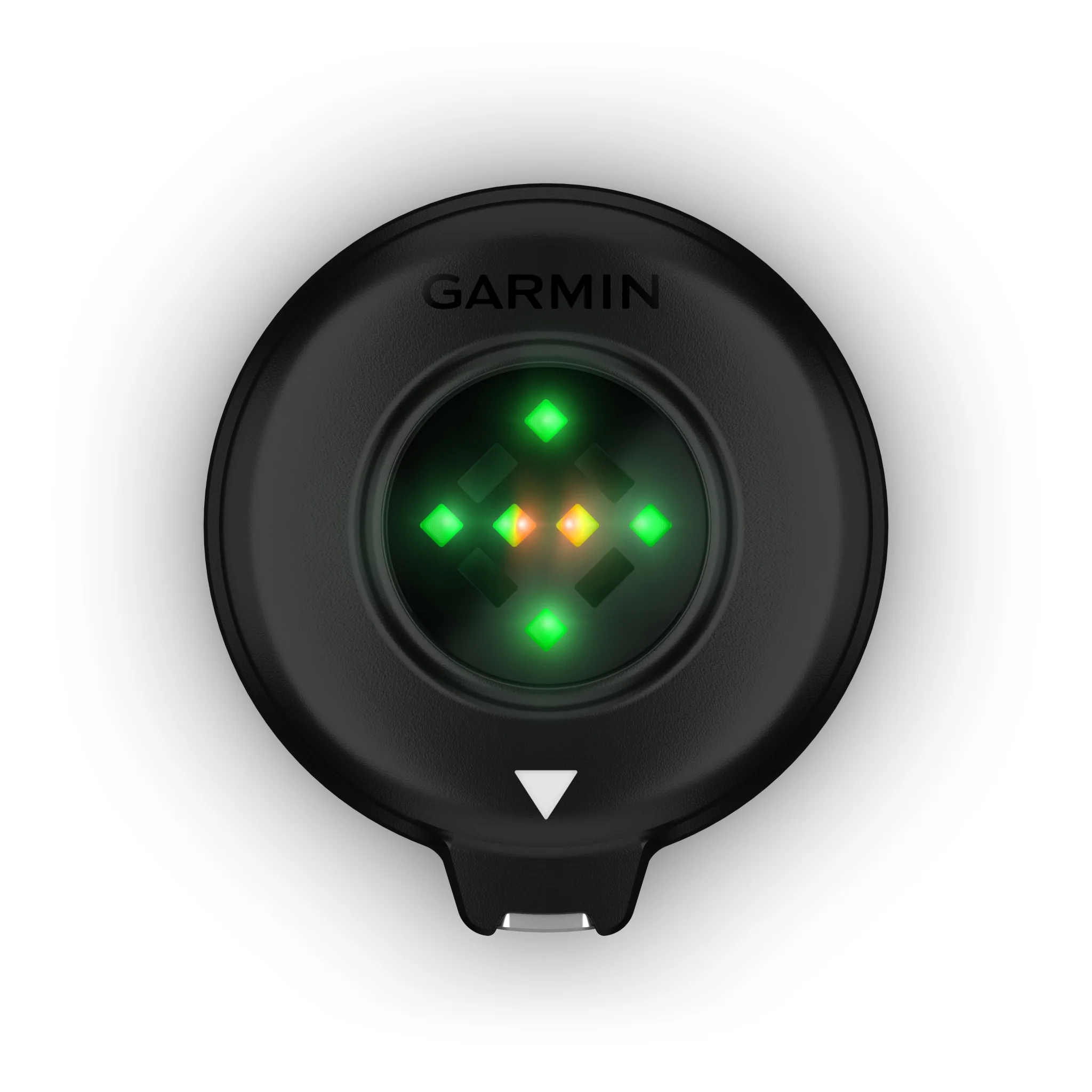 Garmin Blaze Equine Wellness System - Image 4