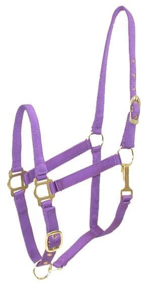 Gatsby Adj Nylon Halter/Snap - Image 3