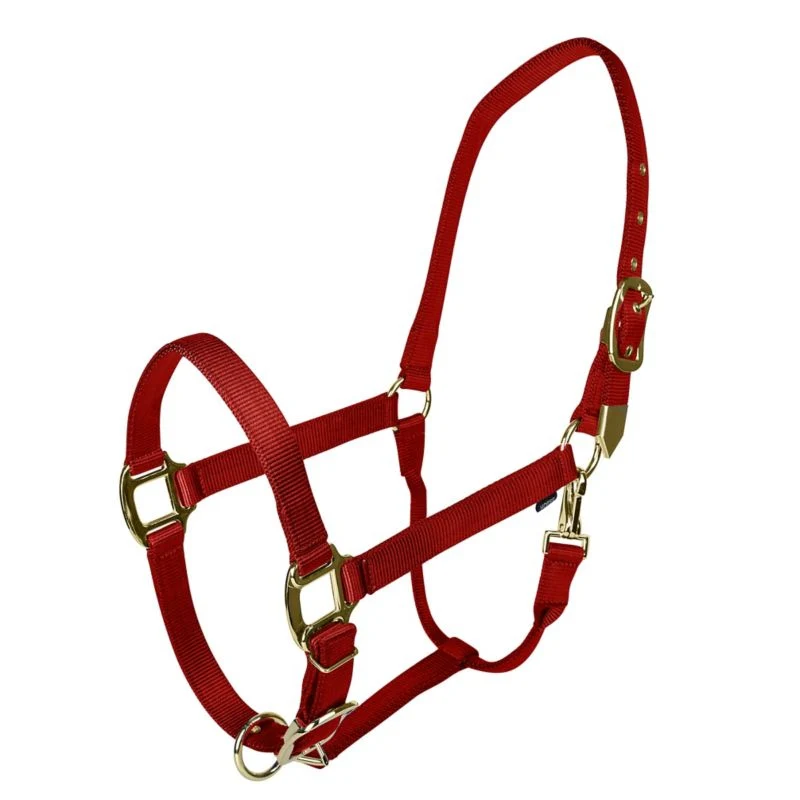 Gatsby Gold Adjustable Nylon Halter - Image 5