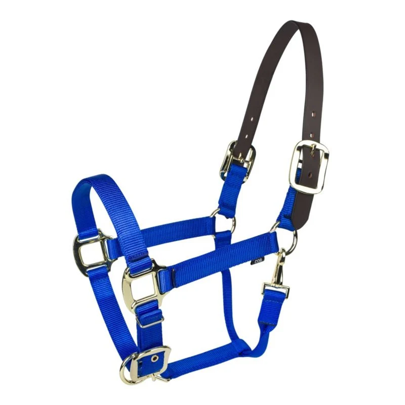Gatsby Gold Nylon Breakaway Halter - Image 4