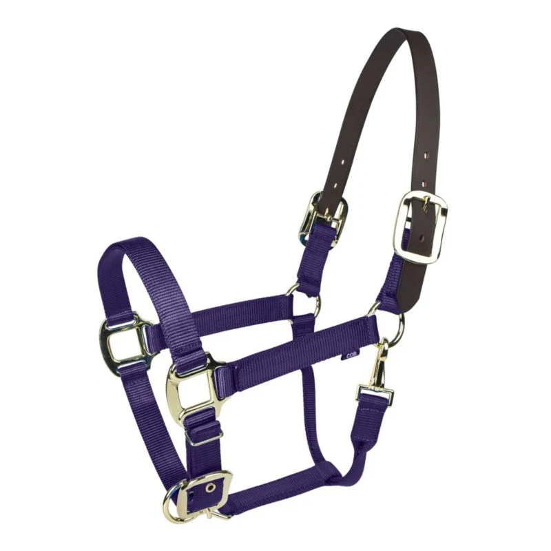 Gatsby Gold Nylon Breakaway Halter - Image 5