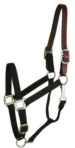Gatsby Nylon Breakaway Halter 12Pc Cob/Hrs/Ovrsz
