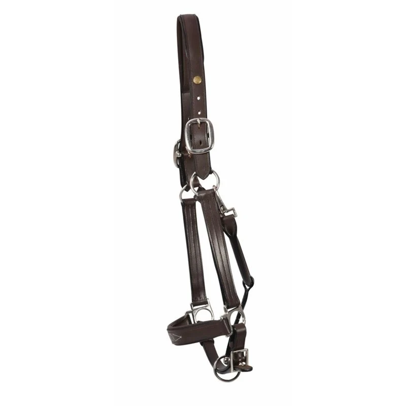 HDR Pro Fancy Padded Rolled Throat Halter - Image 6