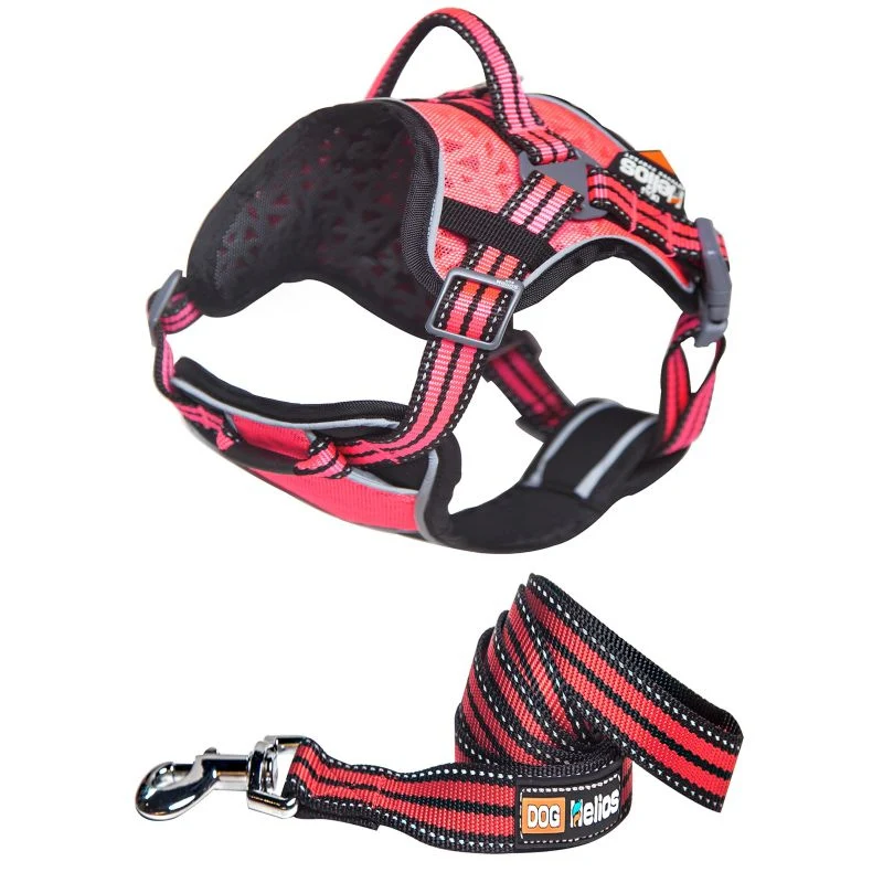 Helios Dog Pet Harness and Leash Combo - Image 2