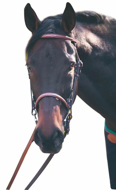 Henri De Rivel Advantage Bridle - Image 3