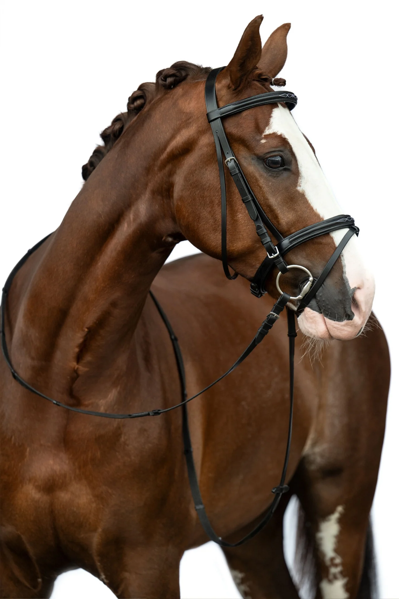 HKM Jana Bridle - Image 7