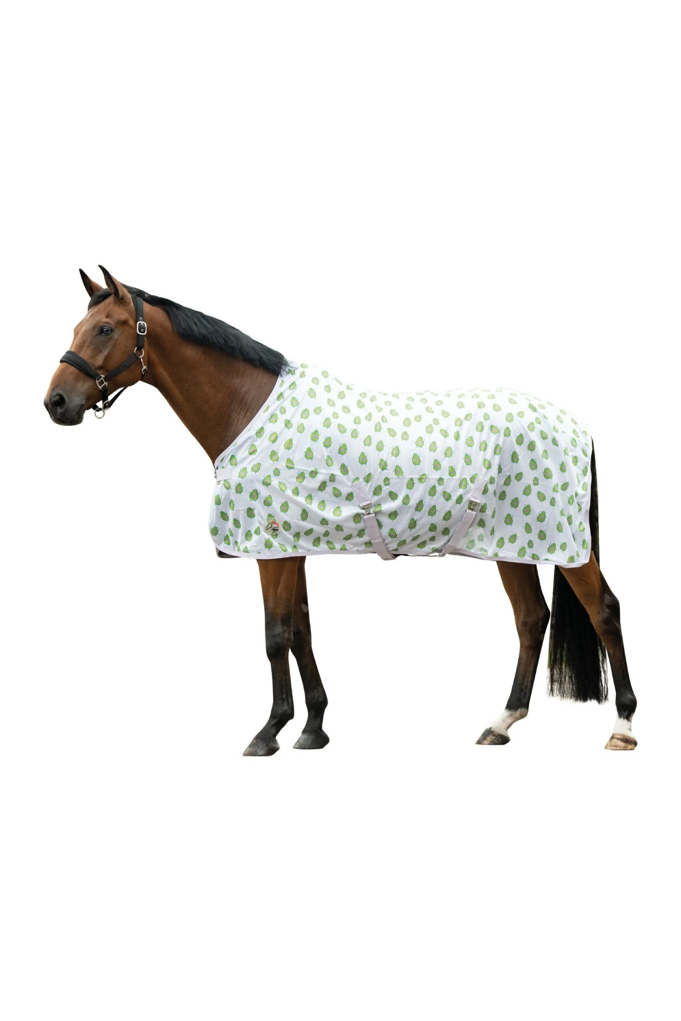 HKM Naples Fly Rug - Image 3