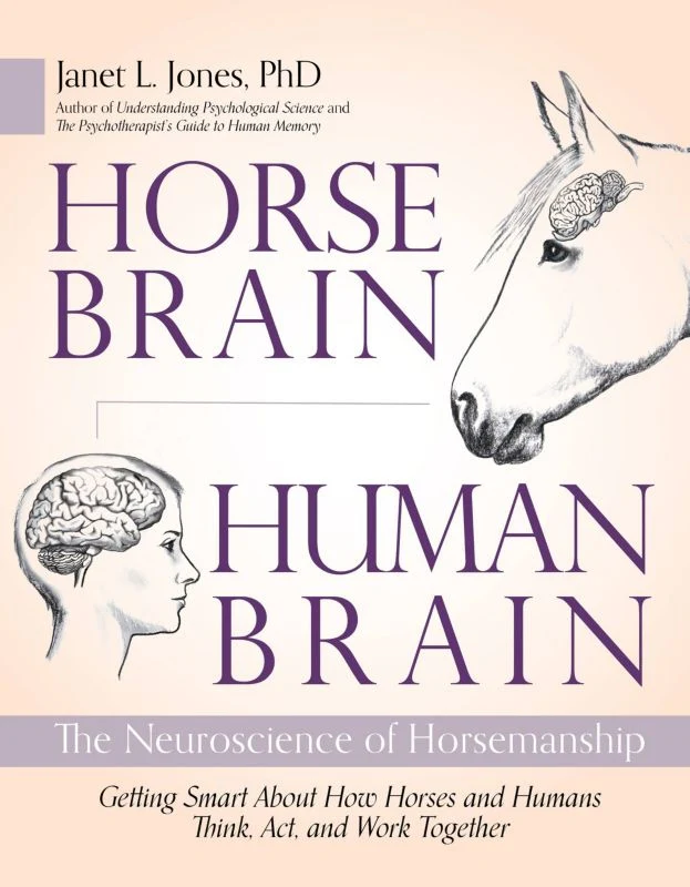 Horse Brain Human Brain 312 Pages