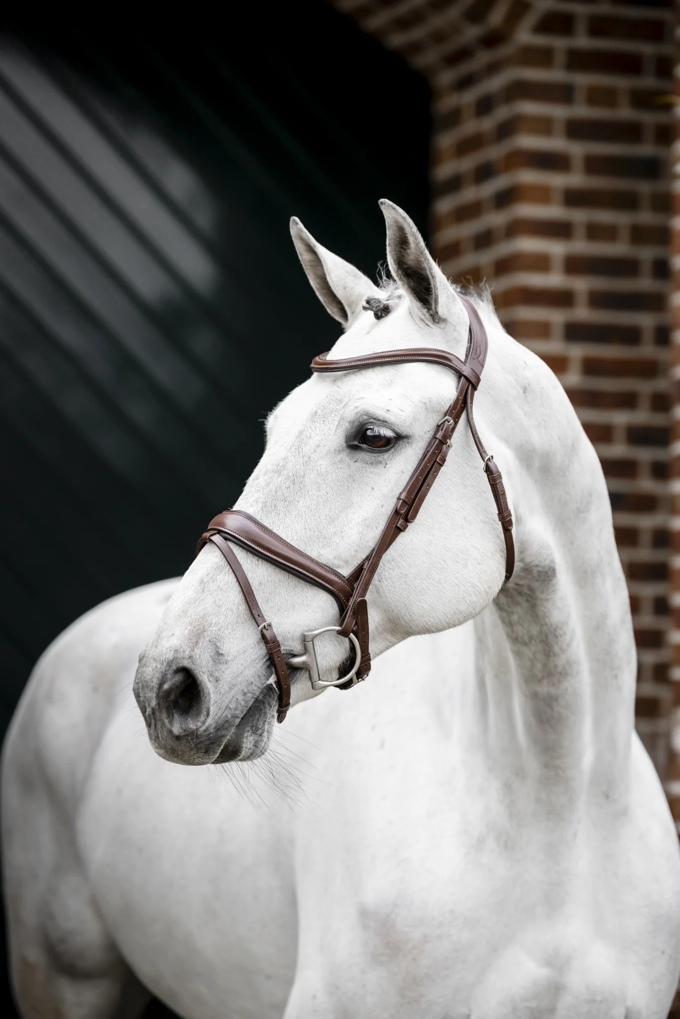 Horseware Dressage Flash Bridle - Image 2