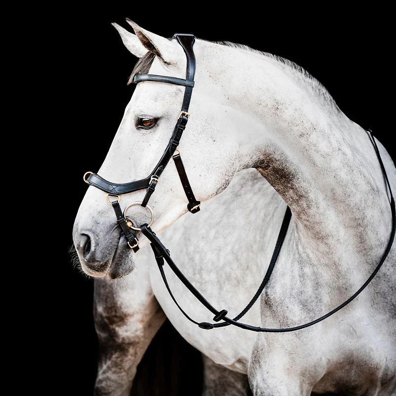 Horseware Micklem 2 Multi Bridle - Image 2