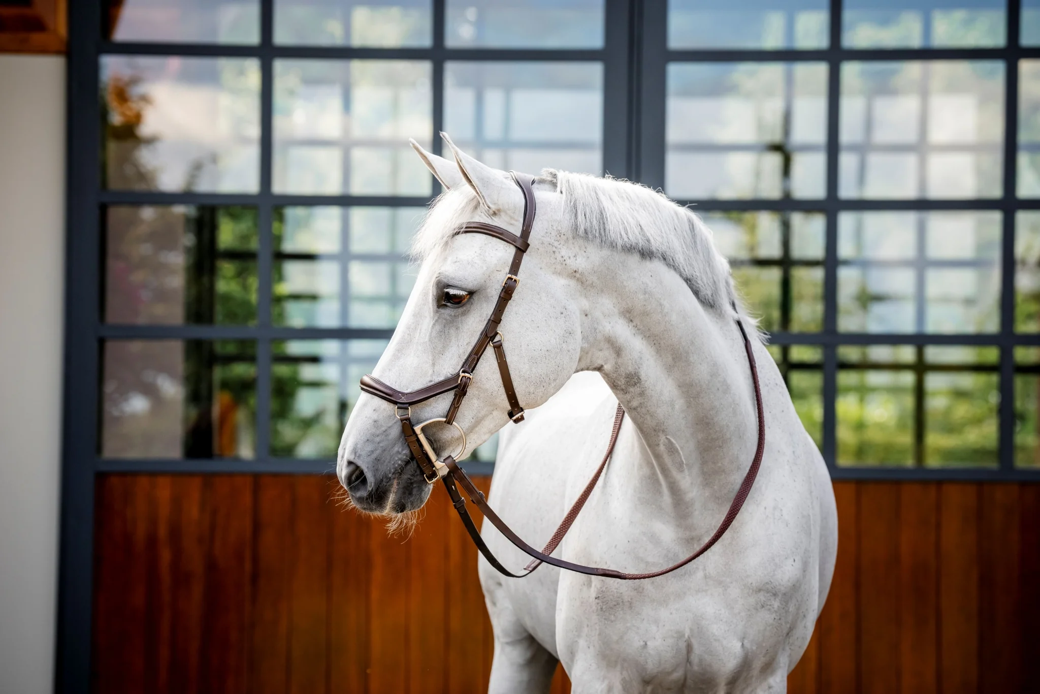 Horseware Micklem Deluxe Competition - Image 4