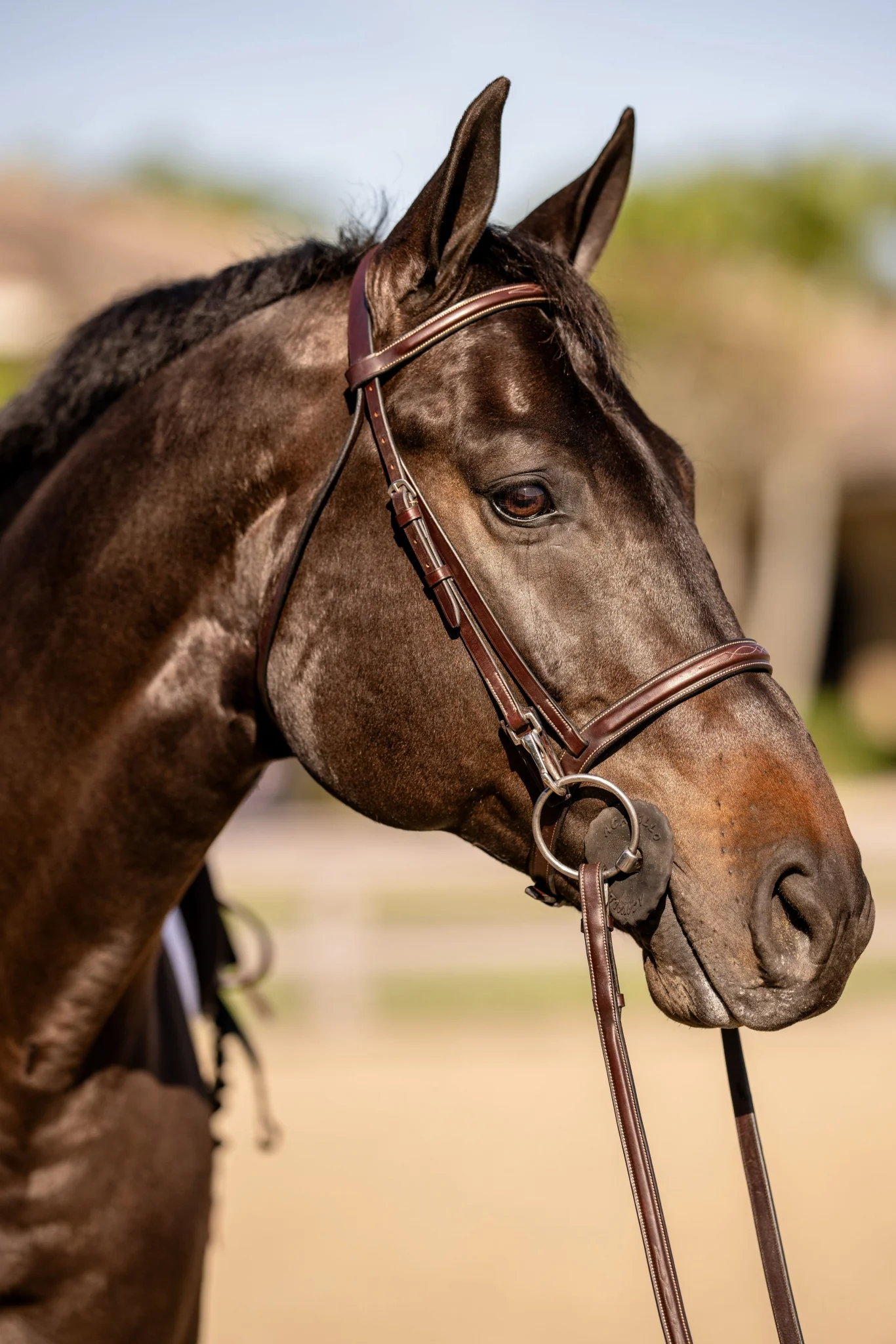 Huntley Equestrian Sedgwick Fancy Stitched Bridle with Cheek Clips and Reins - Image 2
