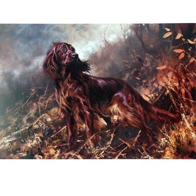 Irish Setter By Mick Cawston 14x9.5
