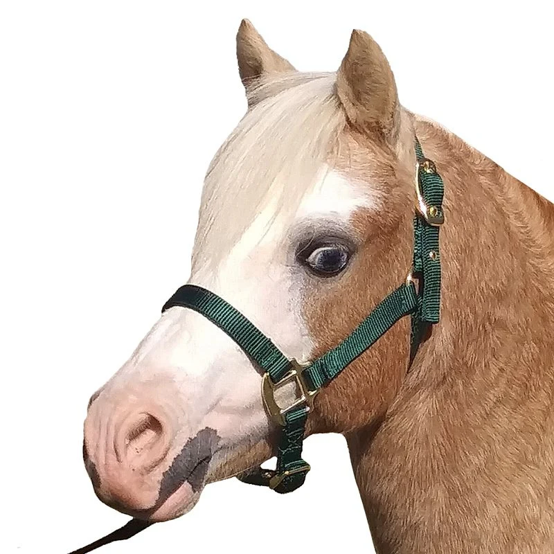 Jacks Training Snaffle Bit 5" Black Steel