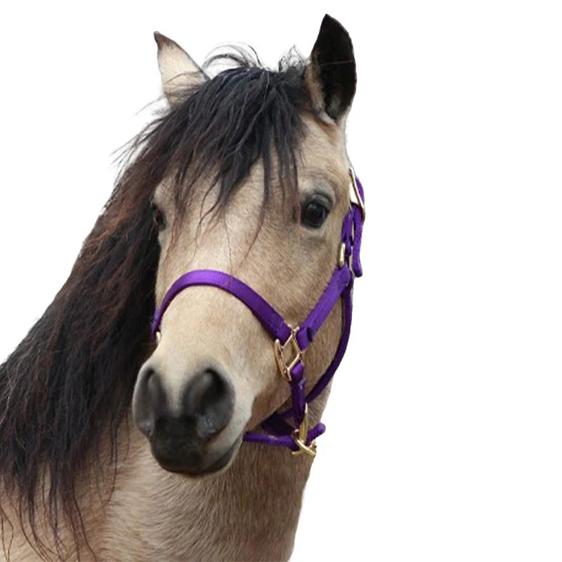 Jacks Training Snaffle Bit 5" Black Steel - Image 10